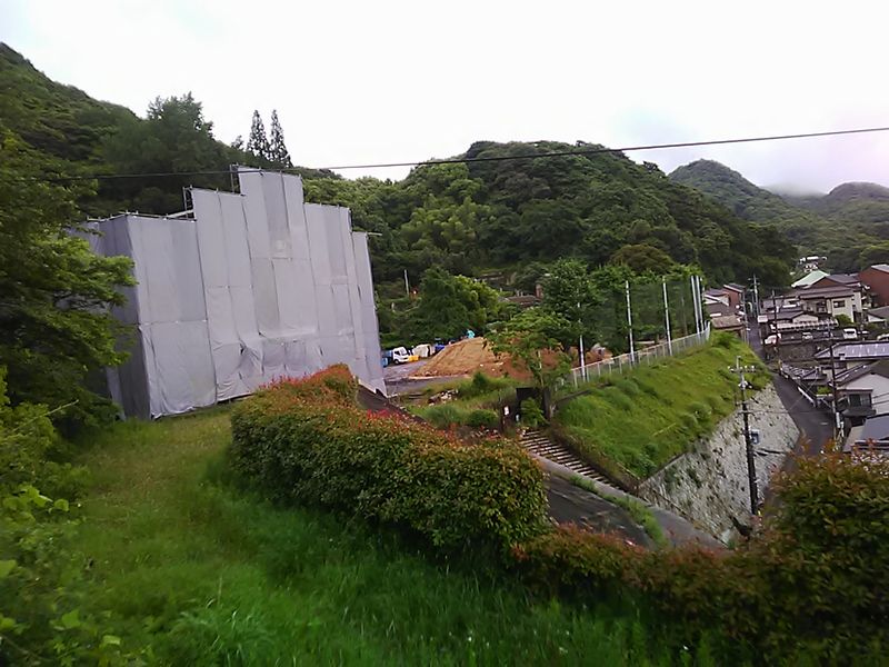 5/24撮影