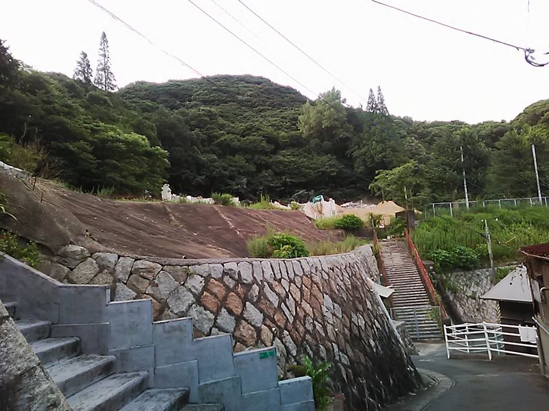 7/25撮影